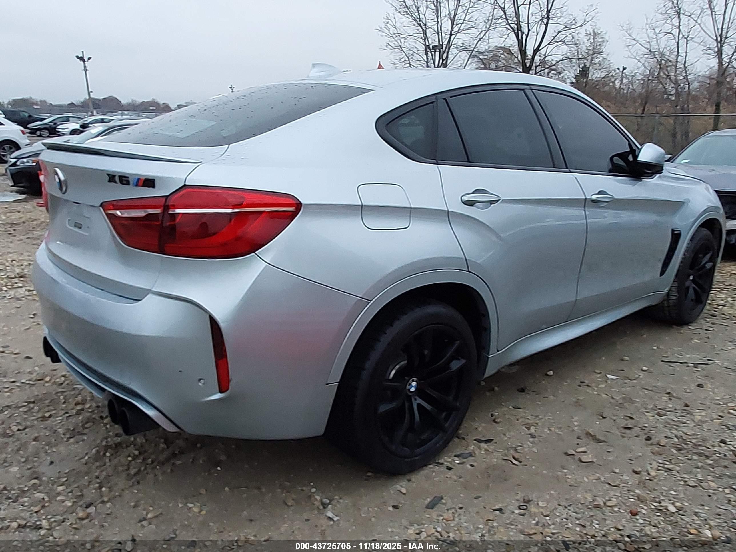 2015 Bmw X6 M   Silver vin: 5YMKW8C56F0R42728
