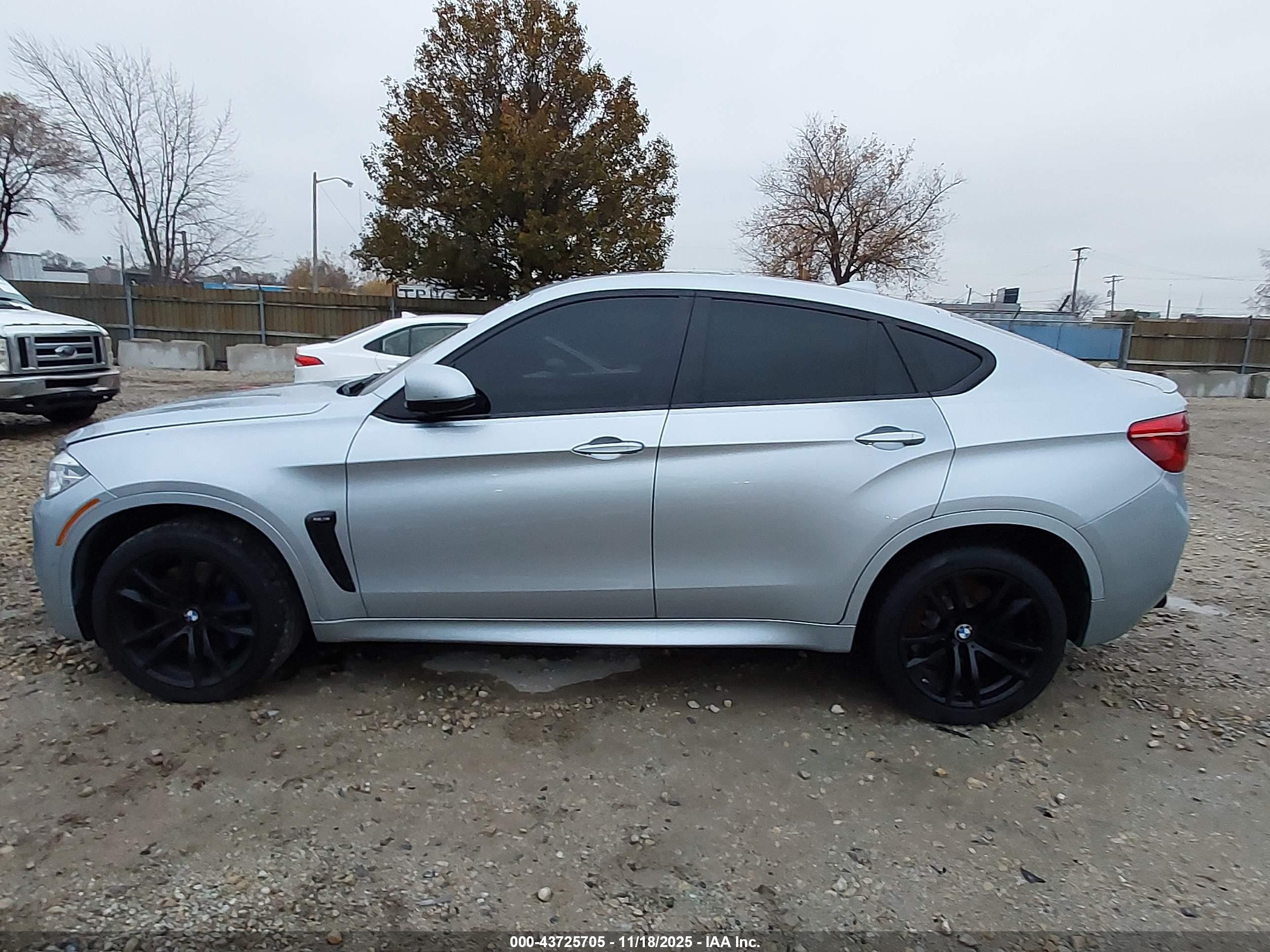 2015 Bmw X6 M   Silver vin: 5YMKW8C56F0R42728