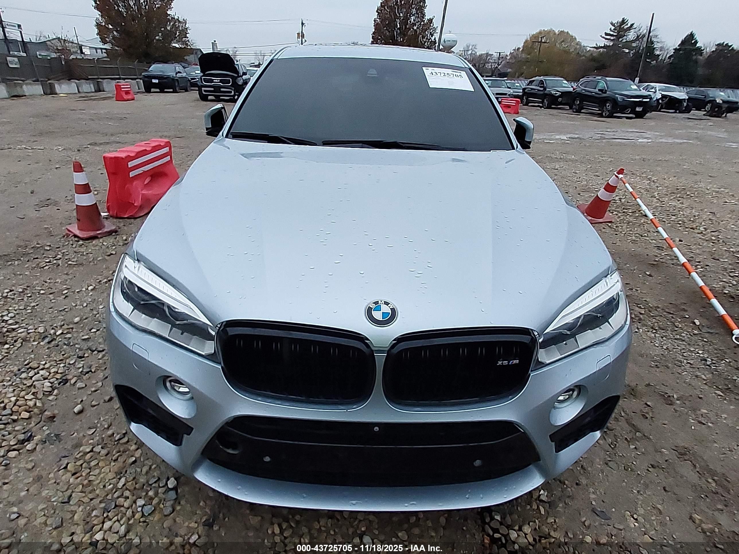2015 Bmw X6 M   Silver vin: 5YMKW8C56F0R42728