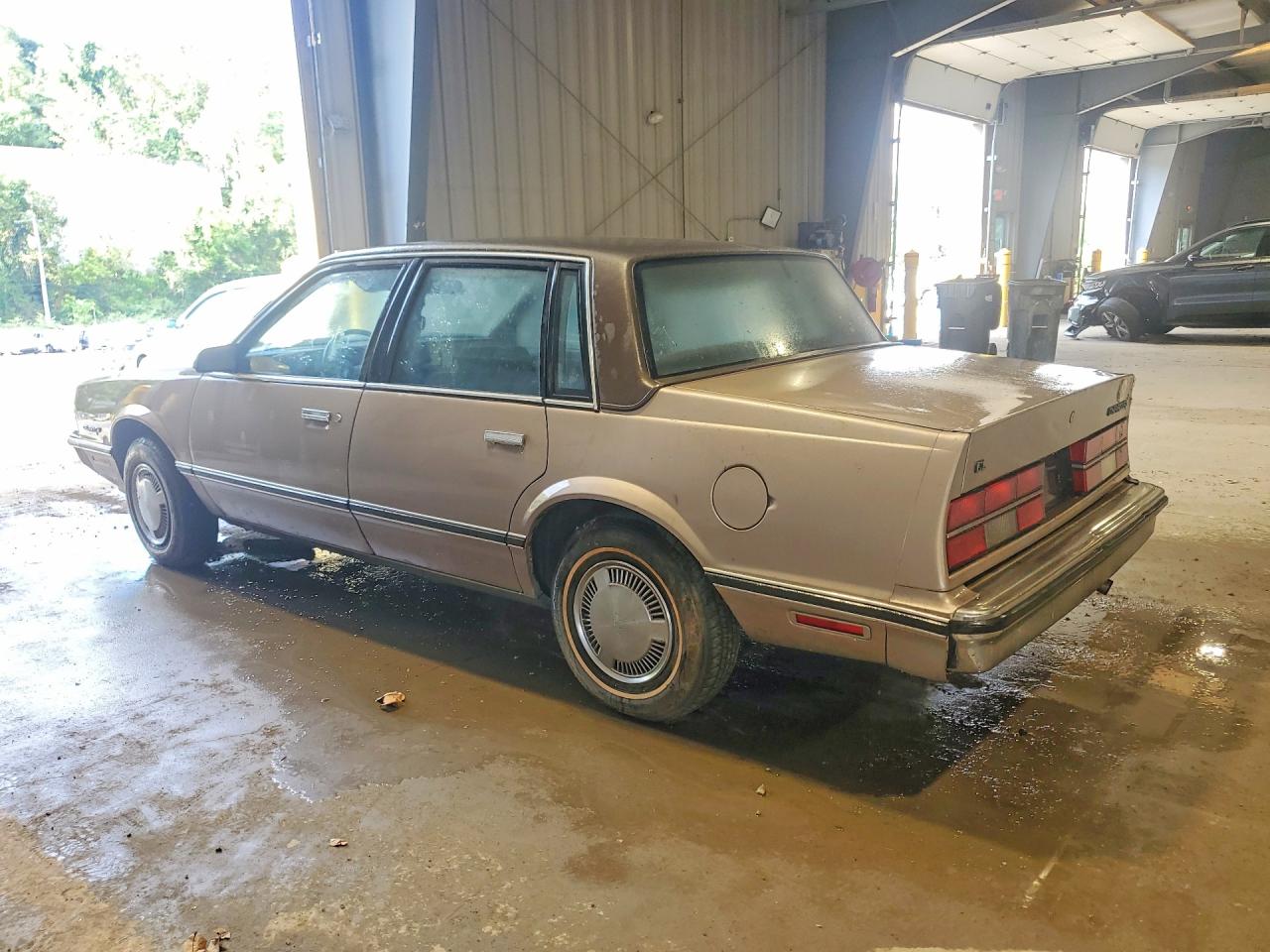 1983 Chevrolet Celebrity Желто-коричневый vin: 1G1AW19R6D6853654