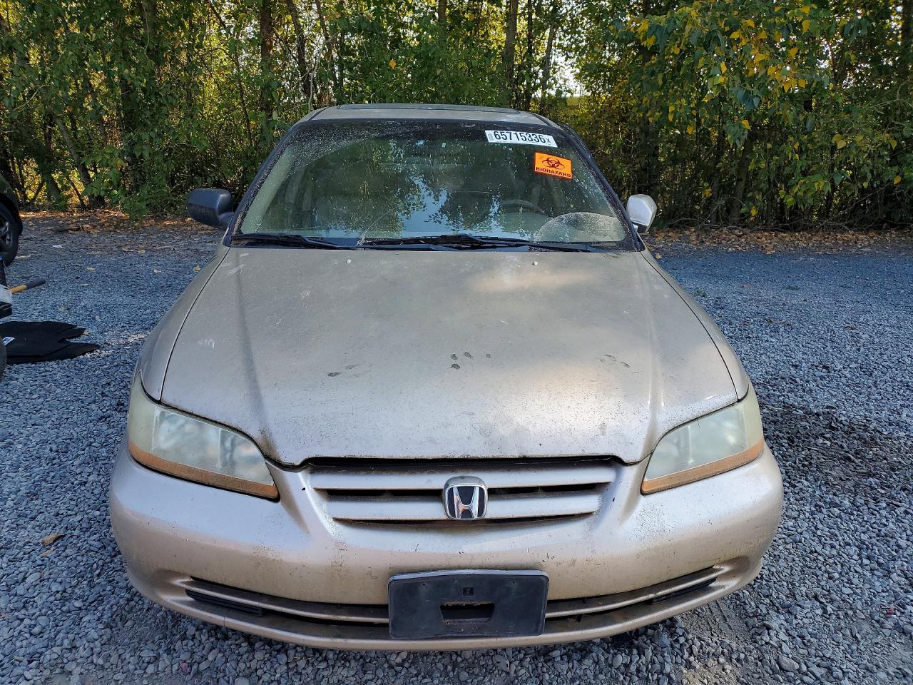 2002 Honda Accord Ex Желто-коричневый vin: 1HGCG16512A036649