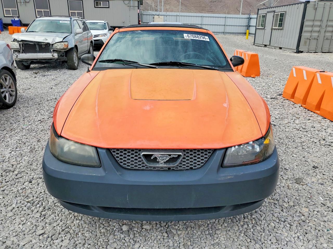 2004 Ford Mustang Оранжевый vin: 1FAFP44604F197482