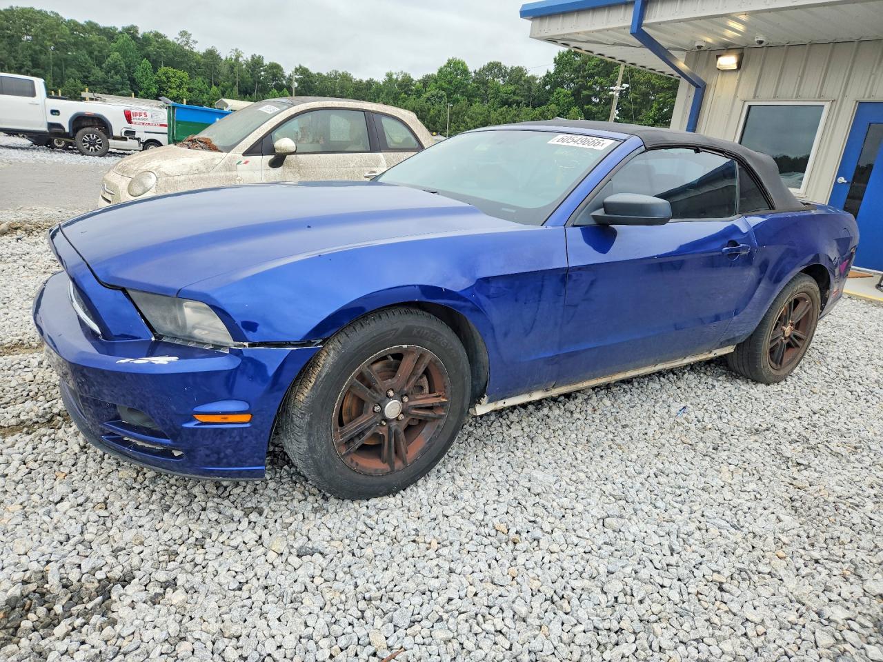 2014 Ford Mustang Blue vin: 1ZVBP8EM3E5240892