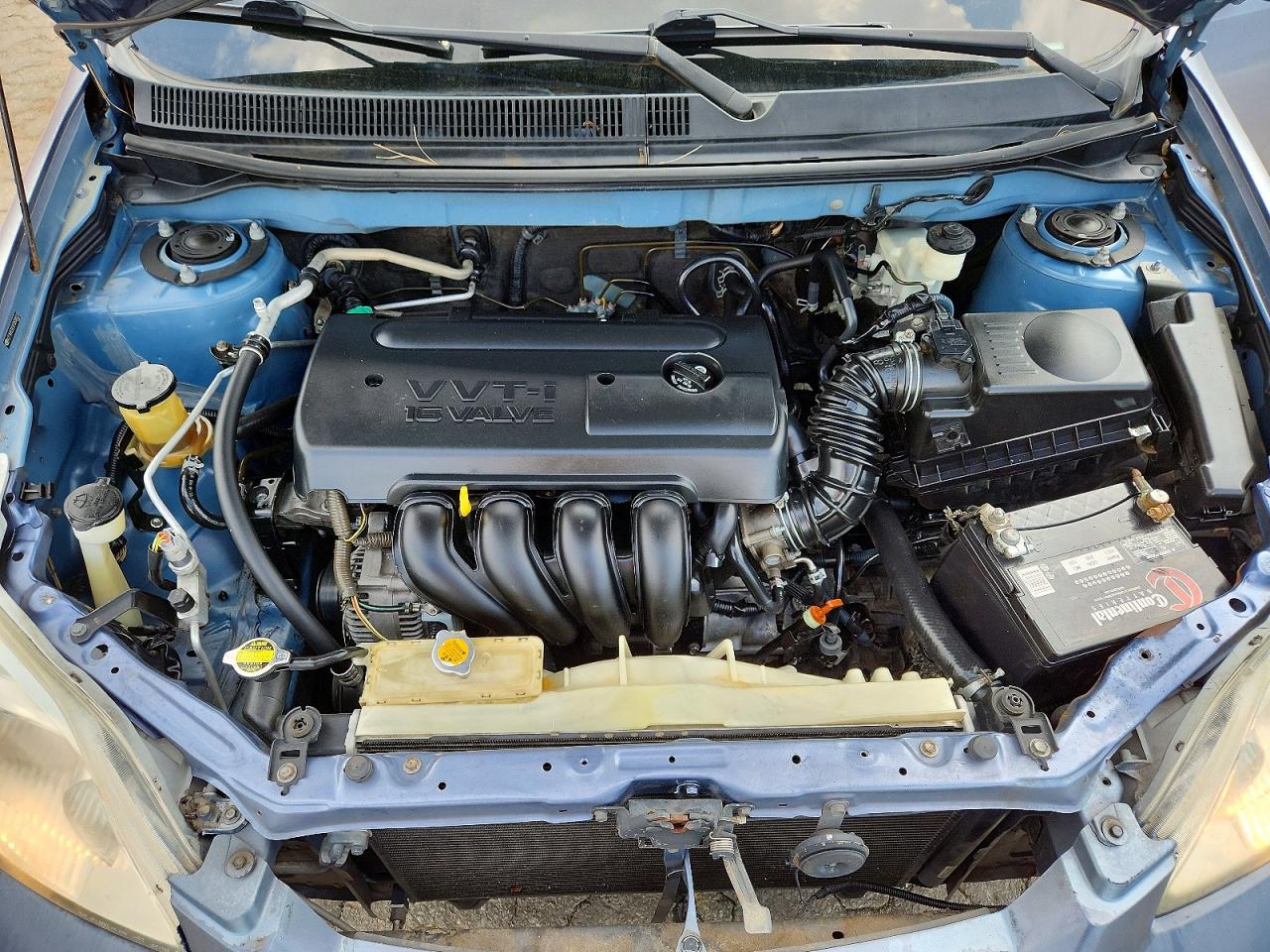 2007 Toyota Corolla Matrix Xr Blue vin: 2T1KR32E97C658022