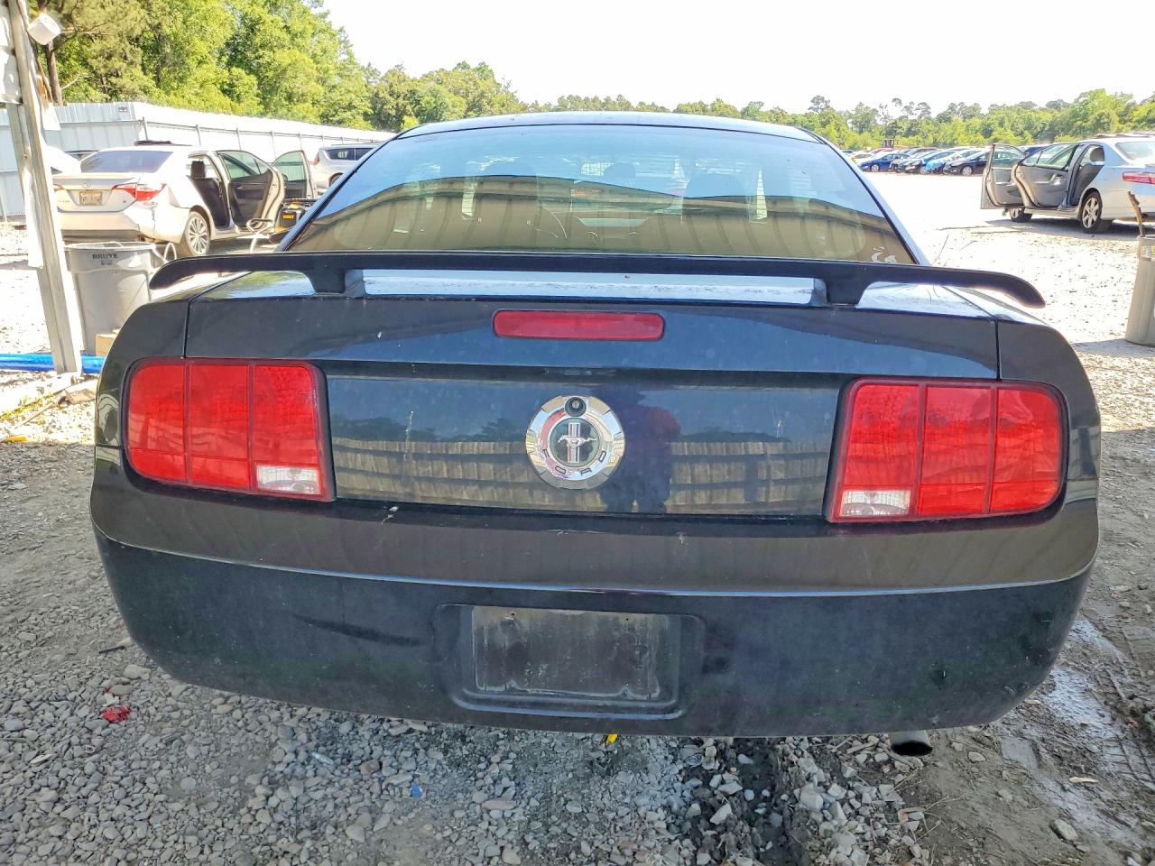 2005 Ford Mustang Черный vin: 1ZVFT80N055193401