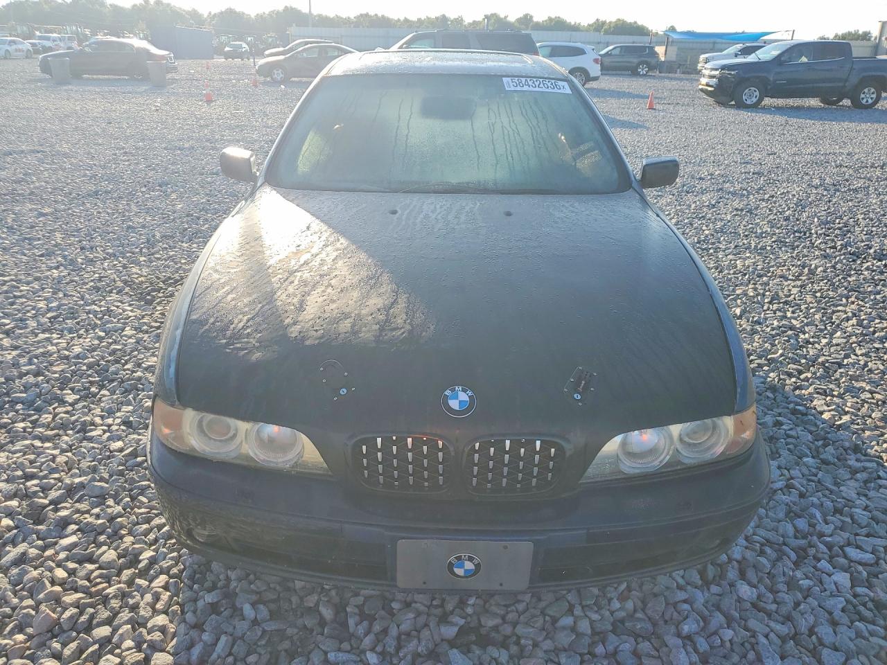 2002 Bmw 525 I Automatic Blue vin: WBADT43442GZ98692