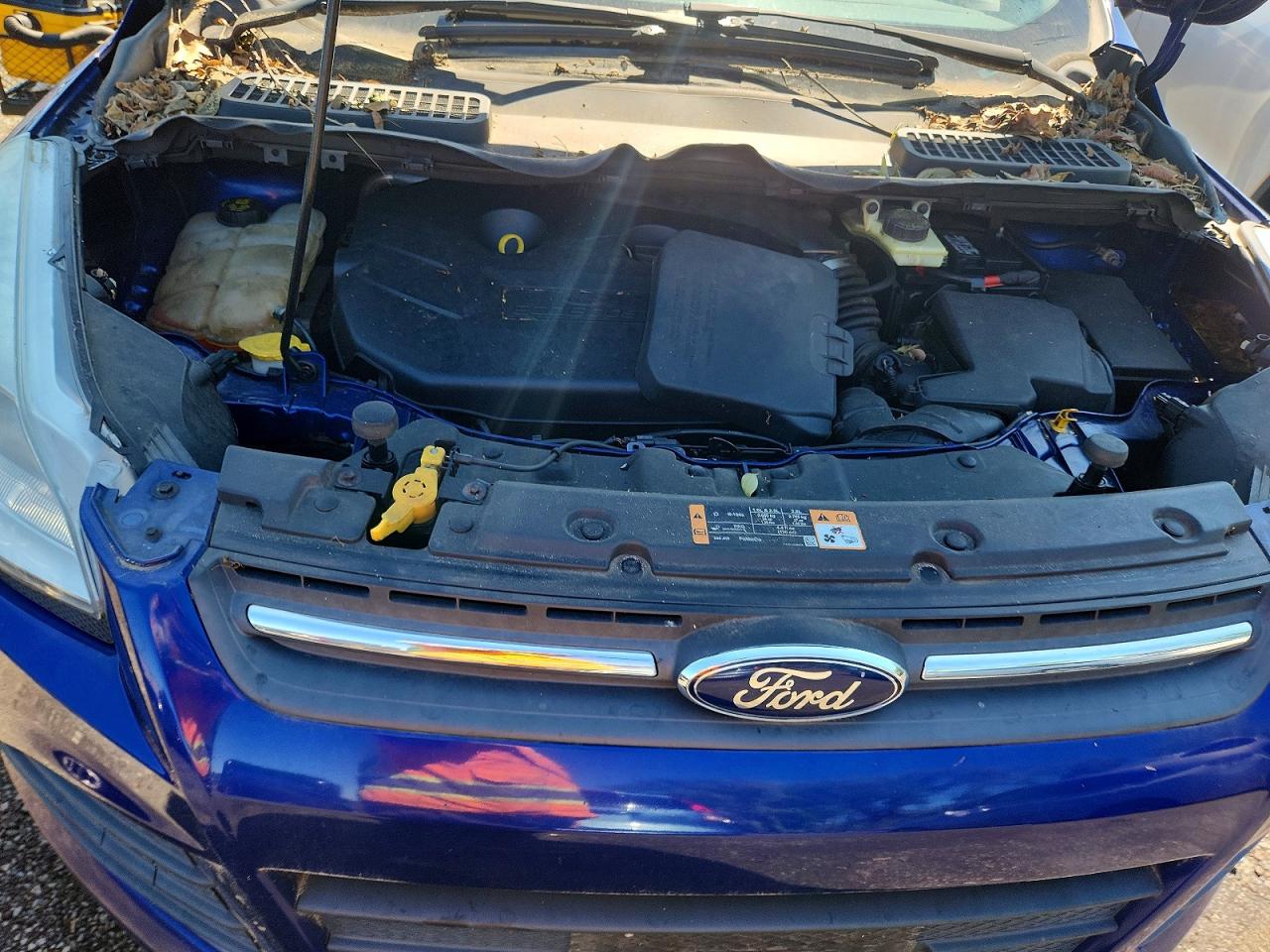 2014 Ford Escape Se Blue vin: 1FMCU9G97EUD98054
