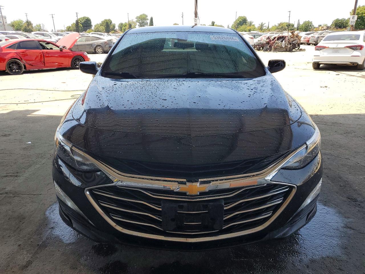 2019 Chevrolet Malibu Lt Black vin: 1G1ZD5ST9KF159060