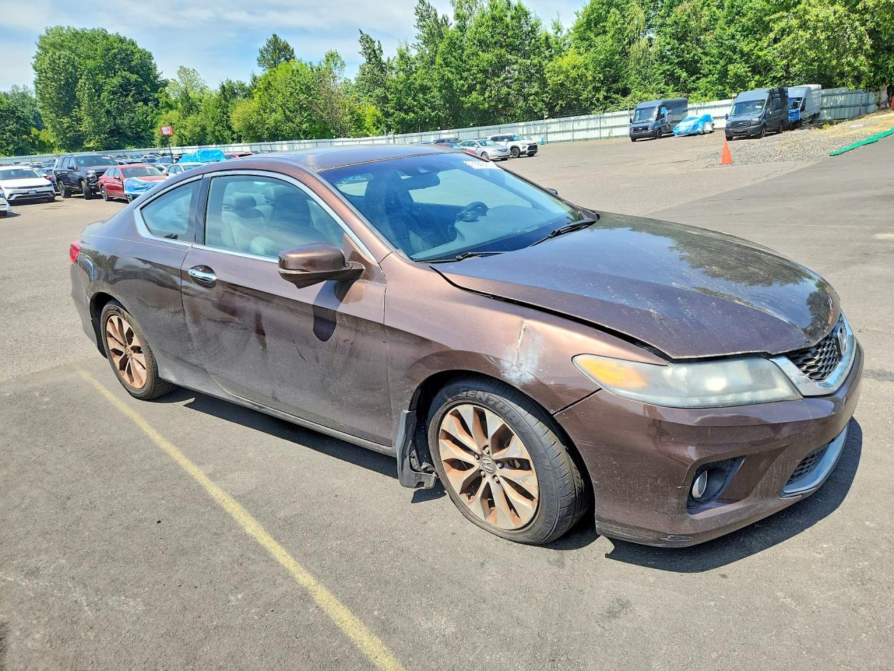 2013 Honda Accord Exl Brown vin: 1HGCT1B83DA007331