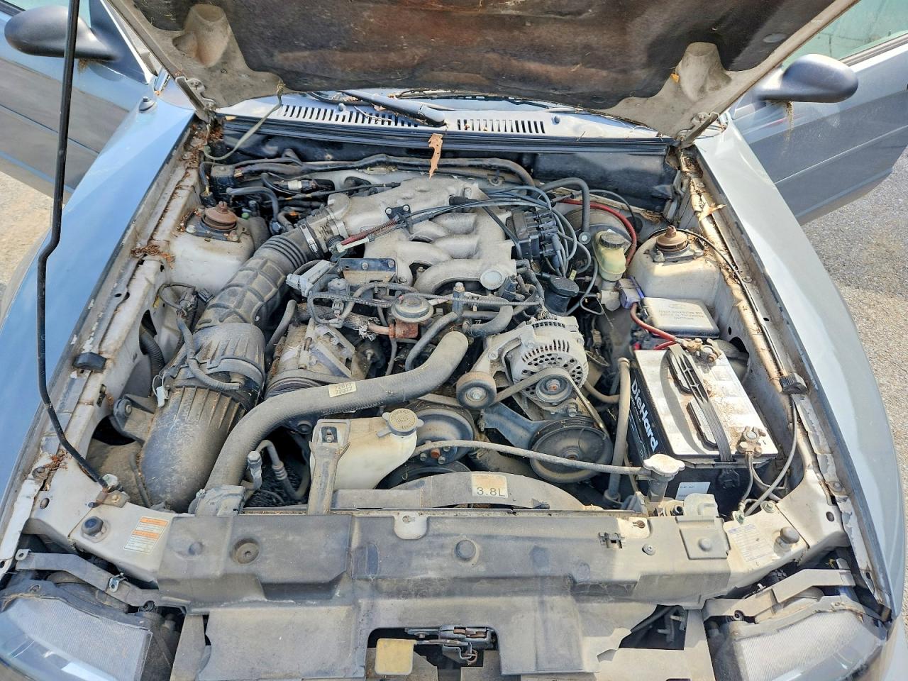 2000 Ford Mustang Gray vin: 1FAFP4444YF281096
