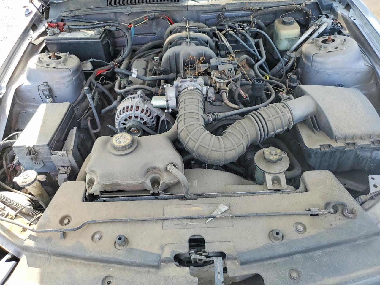 2007 Ford Mustang Gray vin: 1ZVFT80N275305280