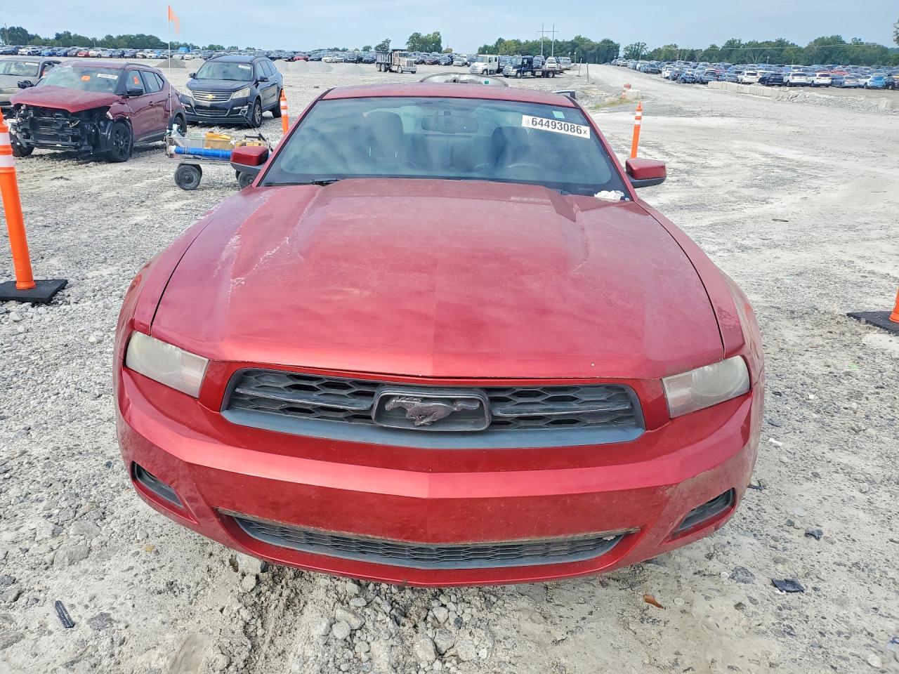 2010 Ford Mustang Red vin: 1ZVBP8AN7A5123521