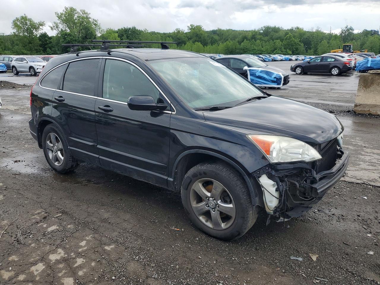 2010 Honda Cr-v Exl Black vin: 5J6RE4H72AL077299