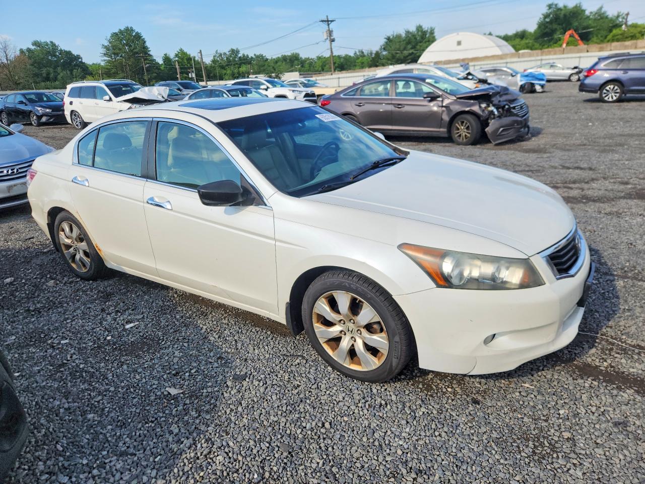 2008 Honda Accord Exl White vin: 1HGCP36828A084417