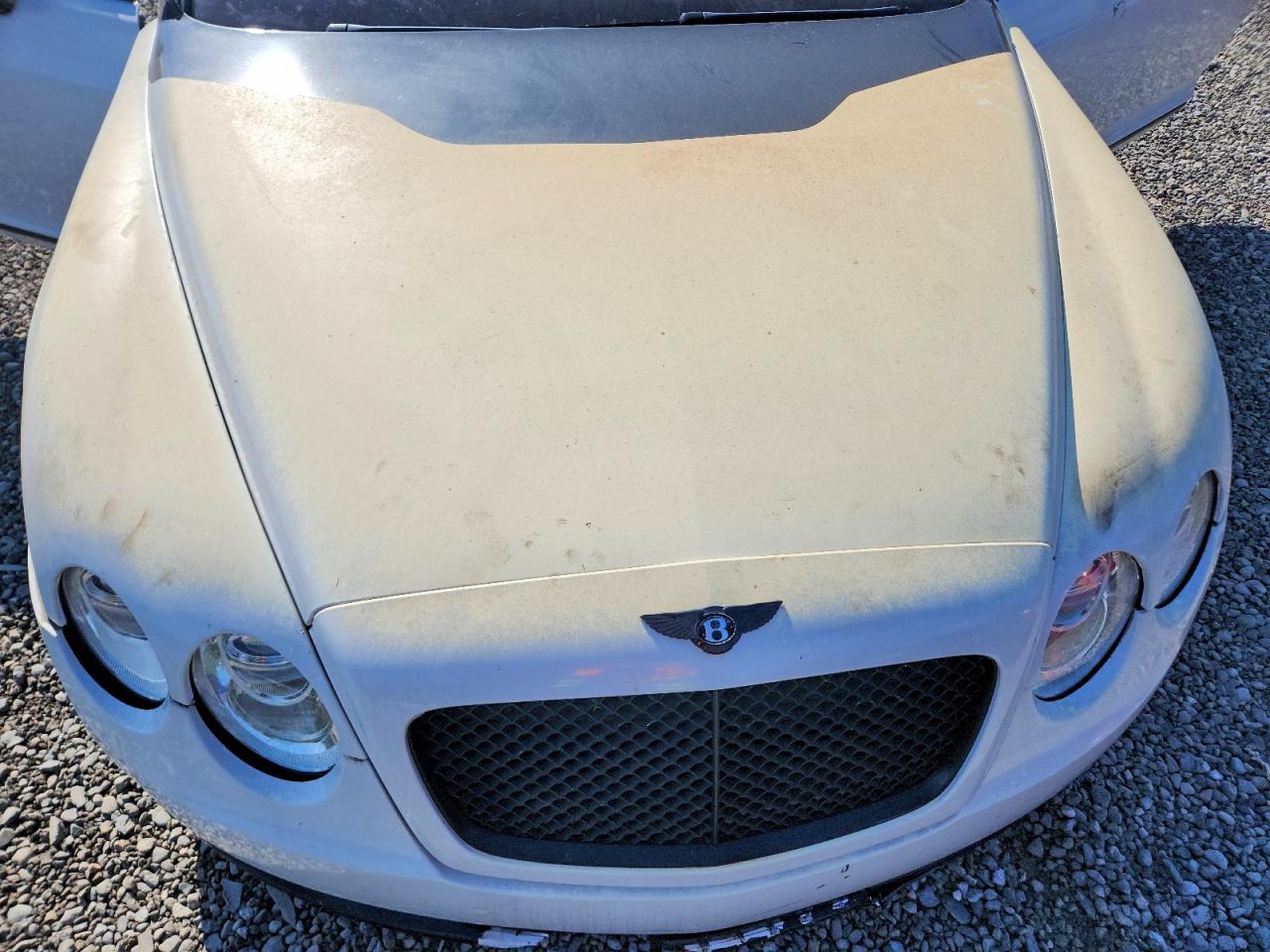 2005 Bentley Continental Gt White vin: SCBCR63W95C027812