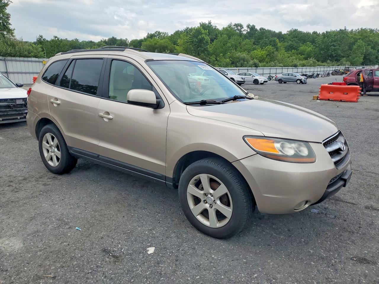 2007 Hyundai Santa Fe Se Желто-коричневый vin: 5NMSH13E77H023896