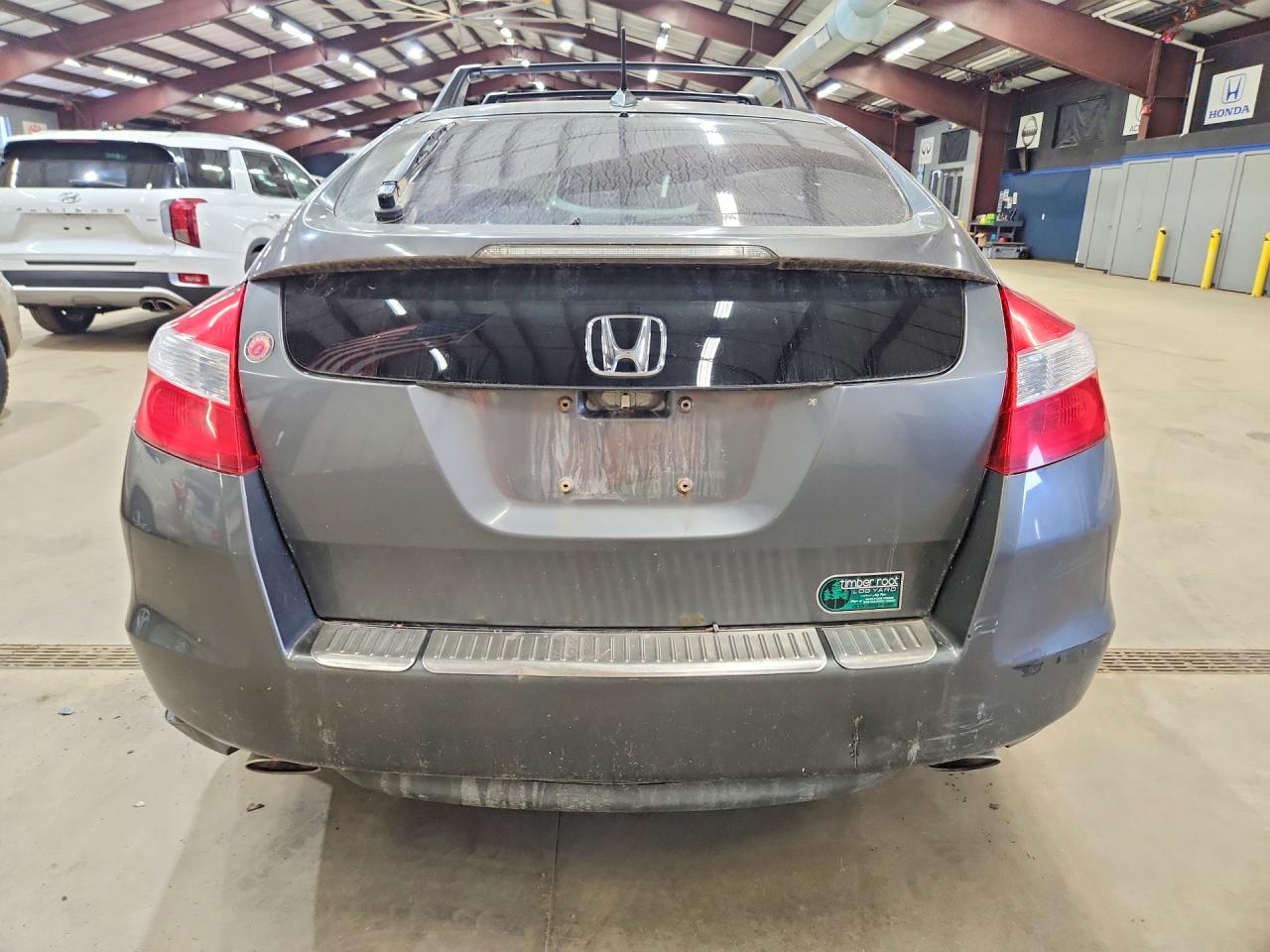 2011 Honda Accord Crosstour Exl Gray vin: 5J6TF2H5XBL002759
