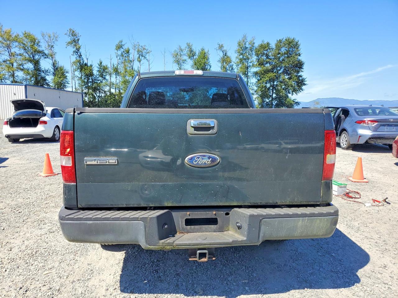 2006 Ford F150 Green vin: 1FTRF12256NB76483