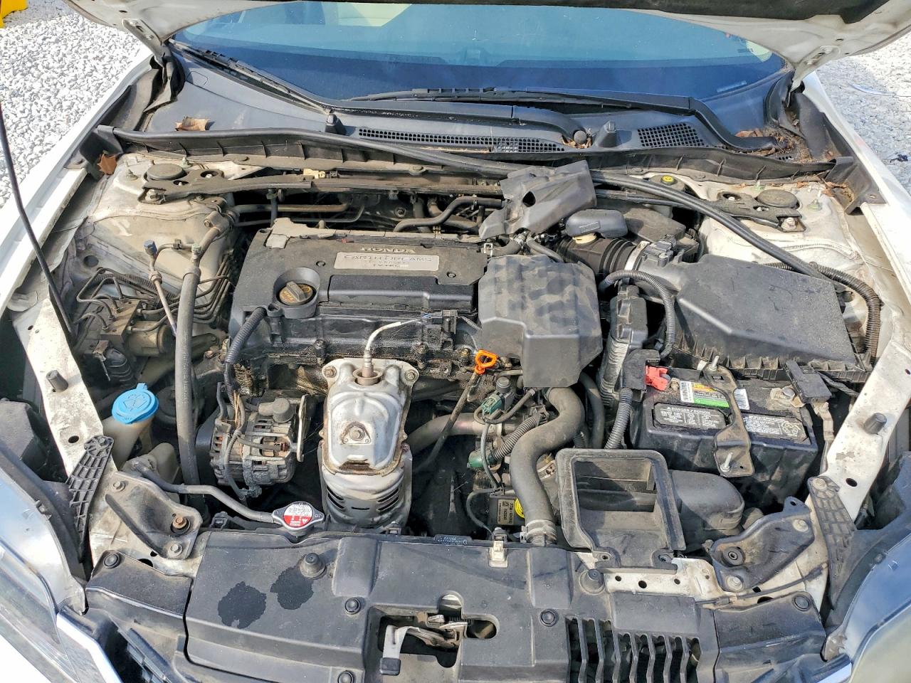 2013 Honda Accord Exl White vin: 1HGCT1B89DA001842