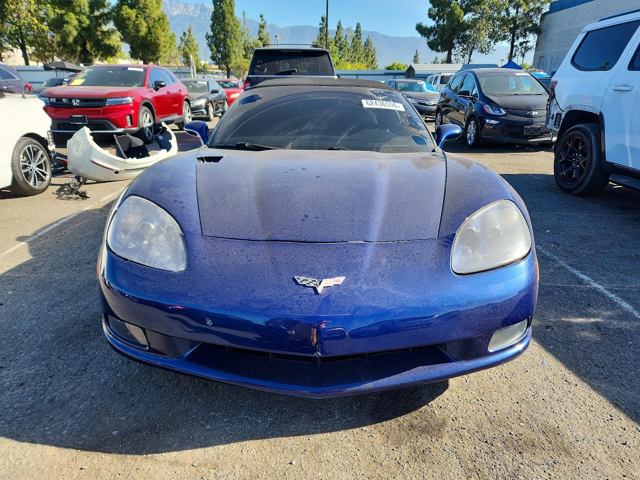 2006 Chevrolet Corvette Blue vin: 1G1YY36U665119022