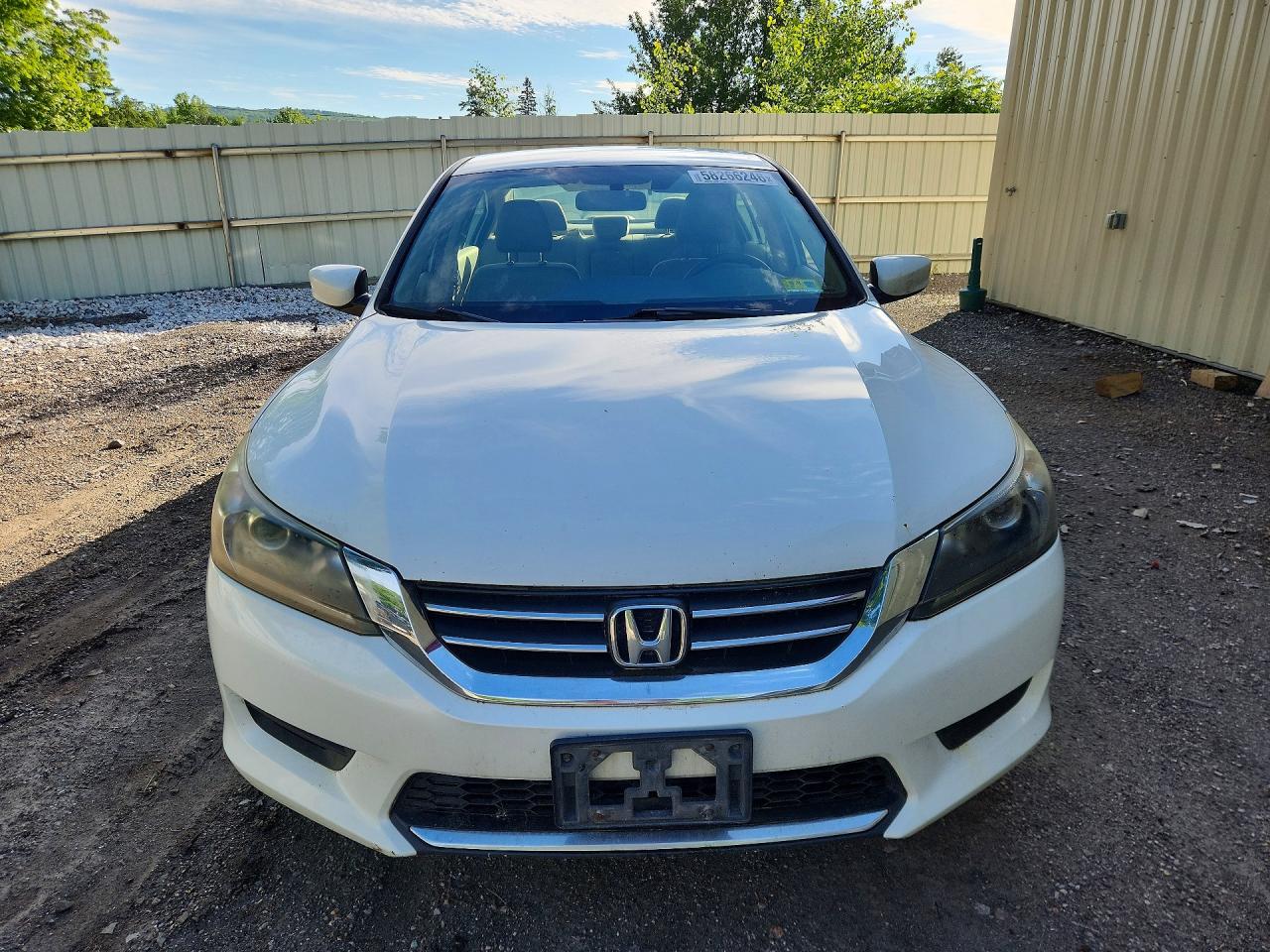 2015 Honda Accord Lx White vin: 1HGCR2F31FA220705