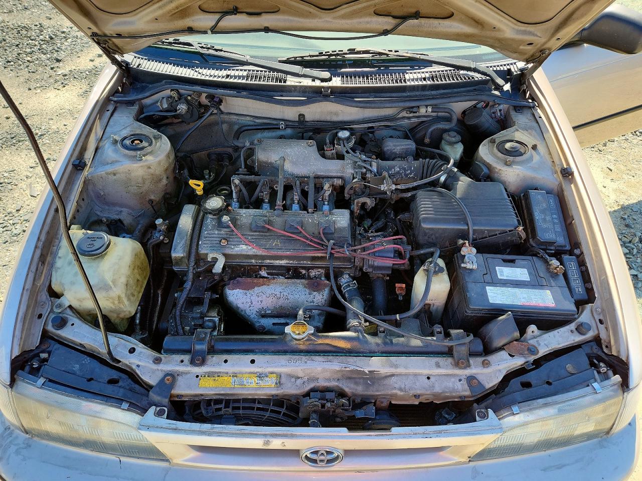 1997 Toyota Corolla Base Gold vin: 2T1BA02EXVC176906