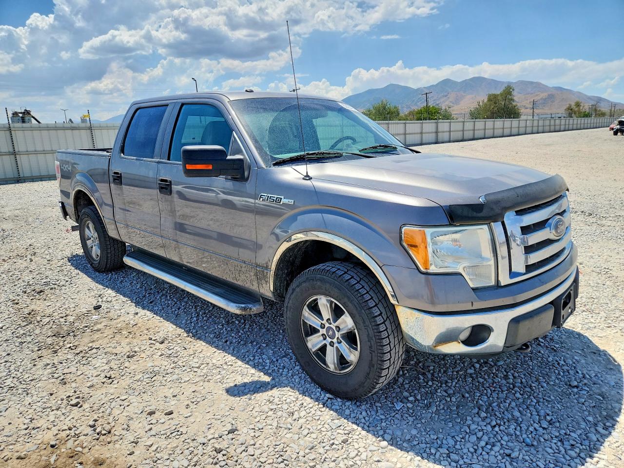 2010 Ford F150 Supercrew Серый vin: 1FTFW1EV3AFD81456