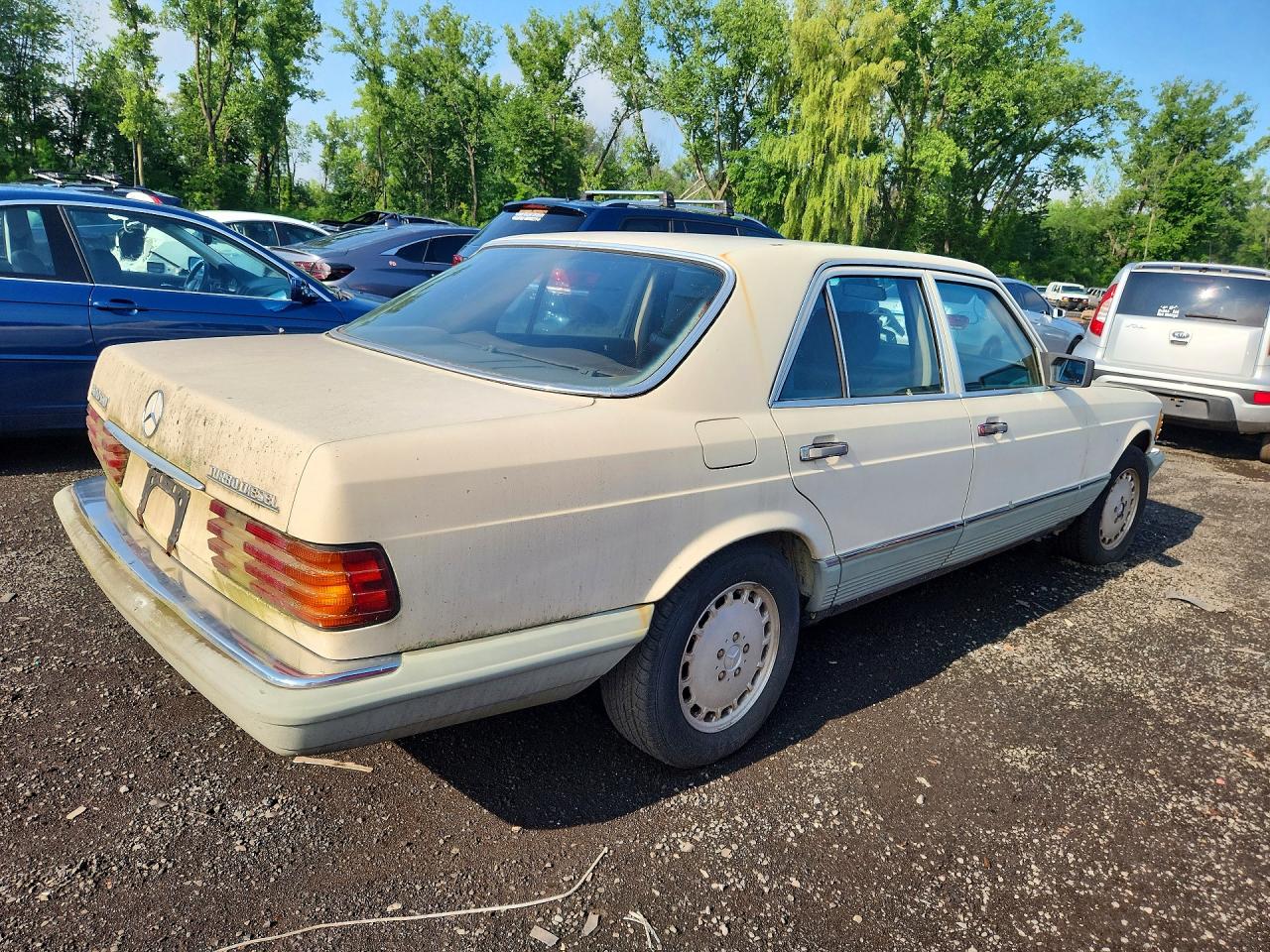 1984 Mercedes-benz 300 Sd Cream vin: WDBCB20A1EA035965