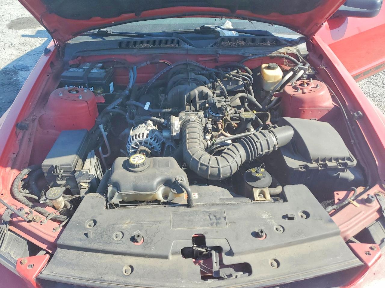 2007 Ford Mustang Red vin: 1ZVFT80N275255982
