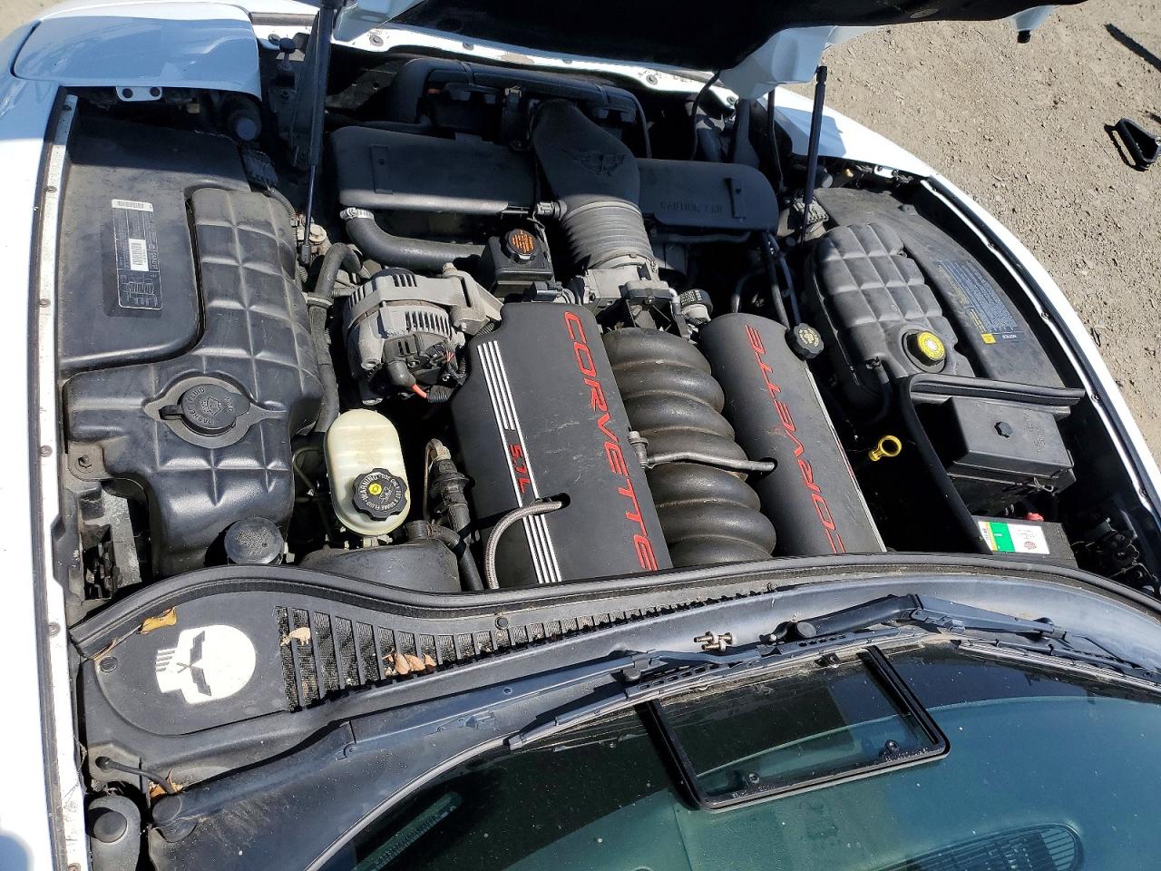 1999 Chevrolet Corvette Белый vin: 1G1YY32G9X5101888