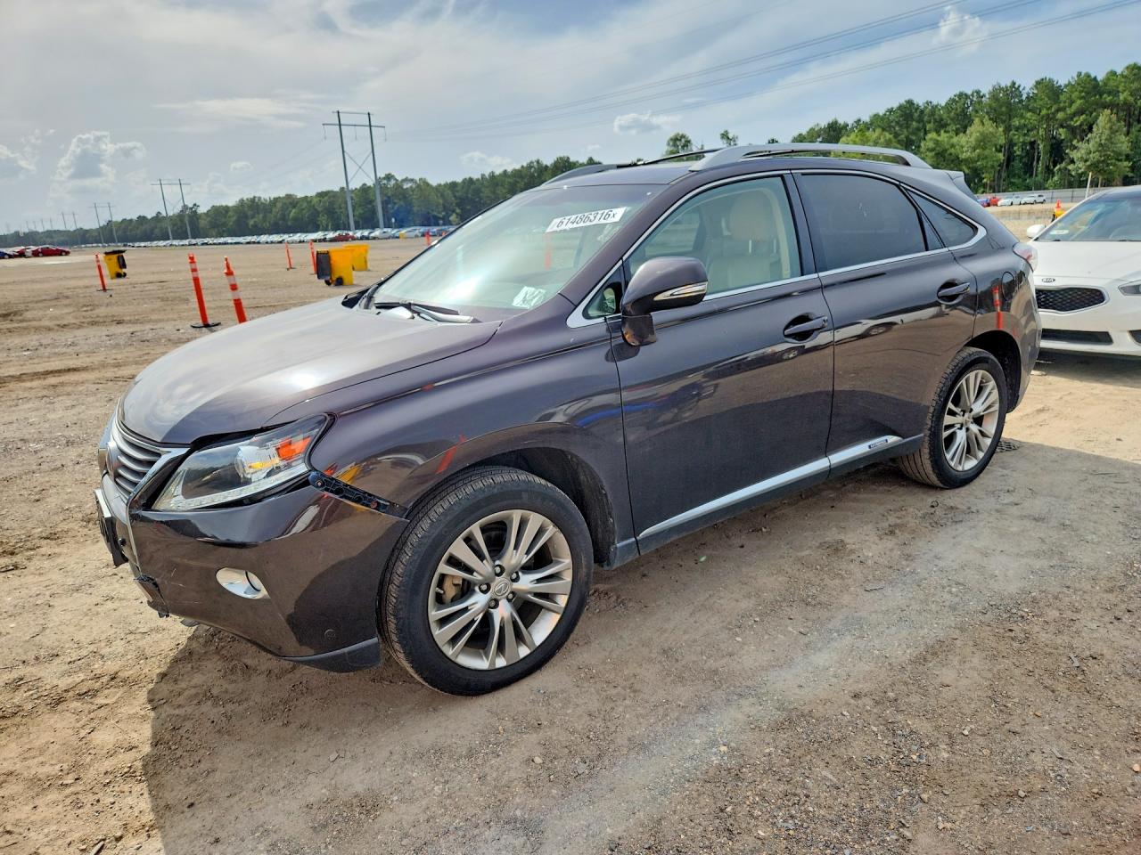 2013 Lexus Rx 450h Purple vin: JTJZB1BA6D2007636