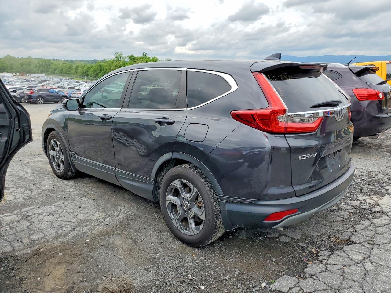 2019 Honda Cr-v Exl Gray vin: 5J6RW1H83KA006470