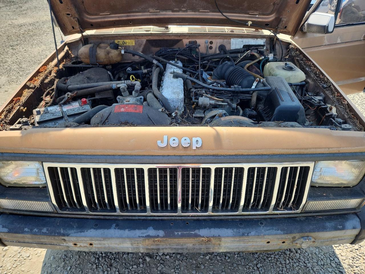 1988 Jeep Cherokee Tan vin: 1JCMR7819JT220507