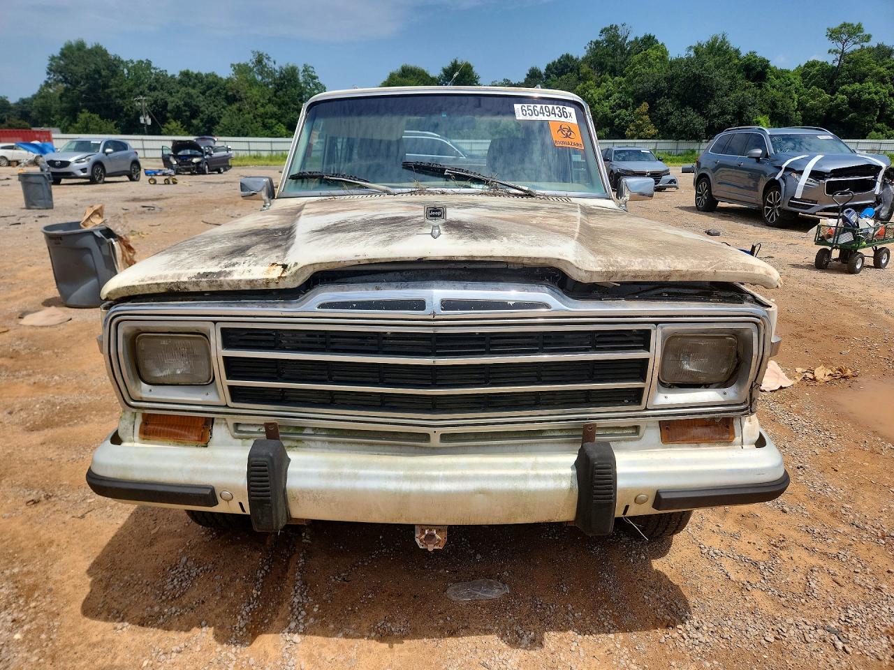 1991 Jeep Grand Wagoneer Белый vin: 1J4GS5872MP801320