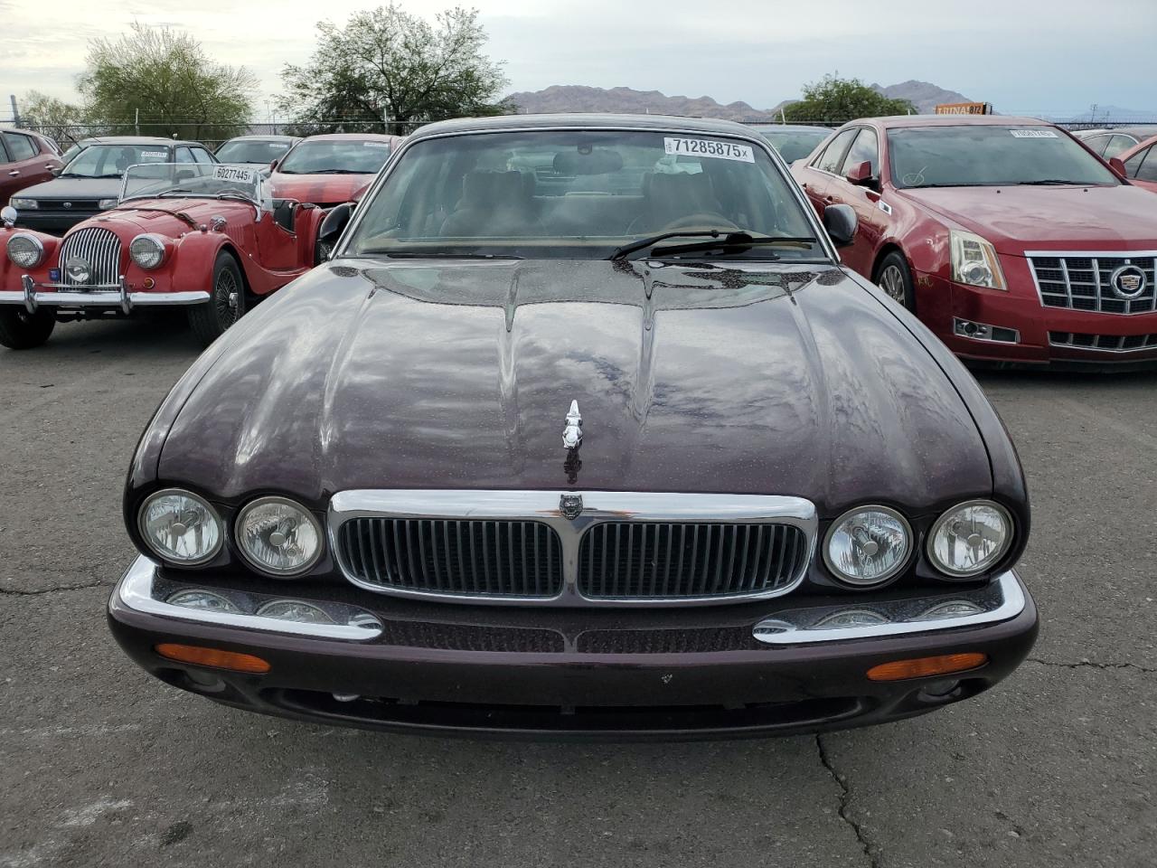 2000 Jaguar Xj8 L Коричневый vin: SAJDA23C9YLF18784