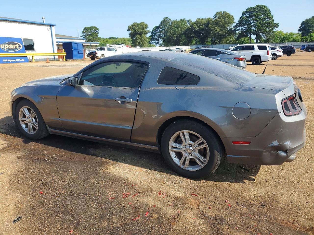 2014 Ford Mustang Gray vin: 1ZVBP8AM8E5316743