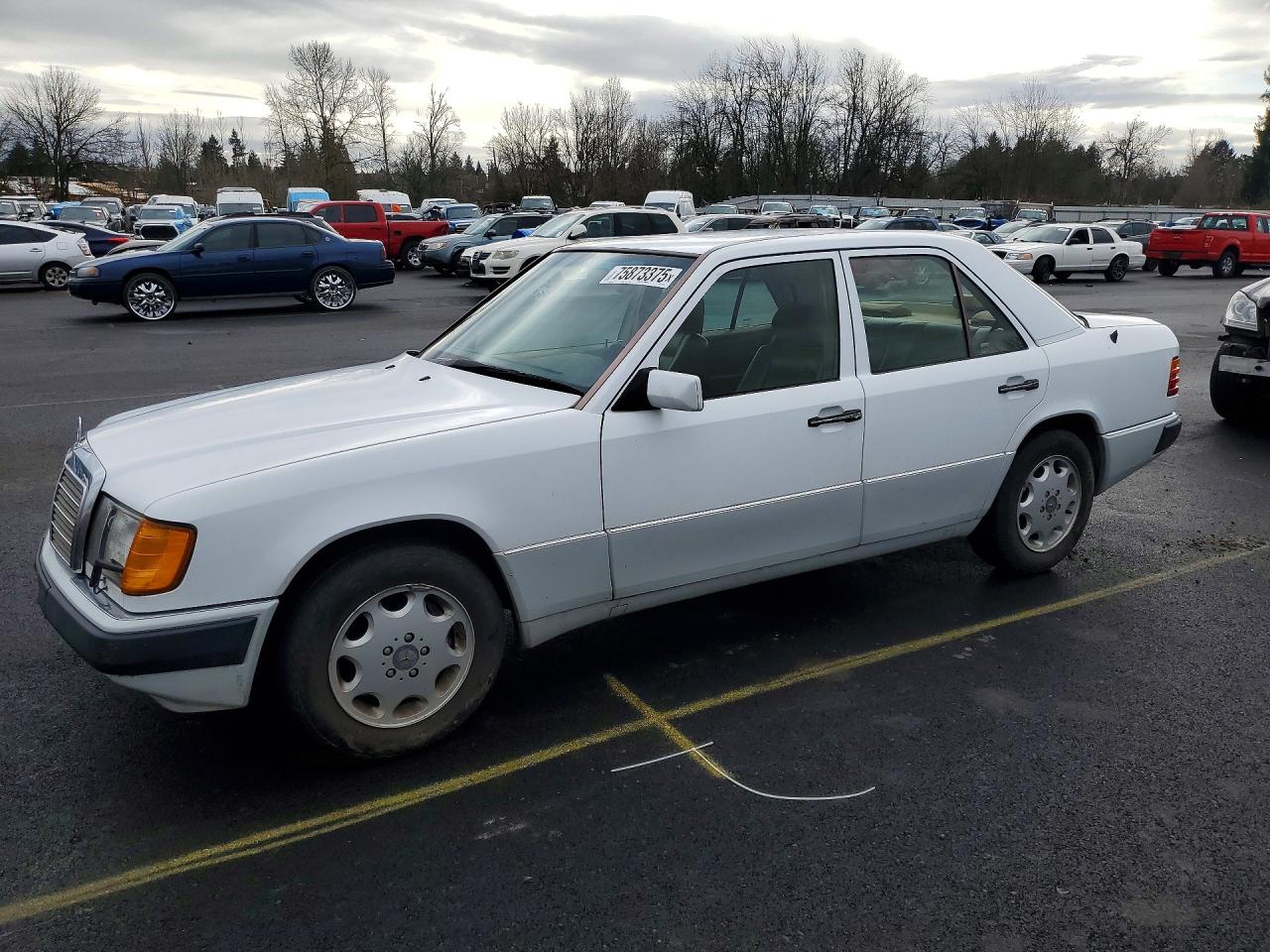 WDBEA34E9PB891686