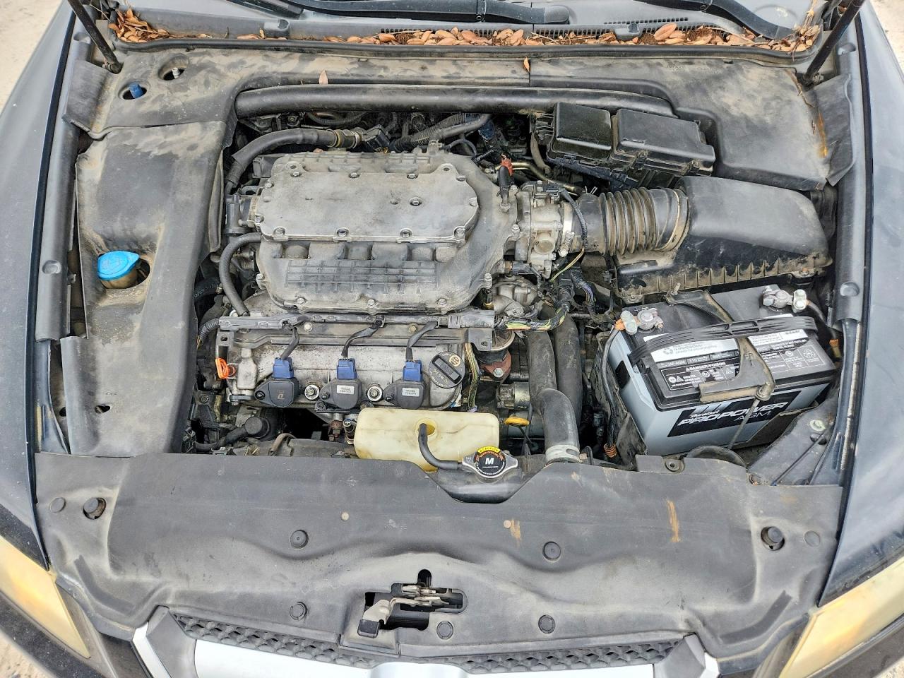 2007 Acura Tl Черный vin: 19UUA66207A019647