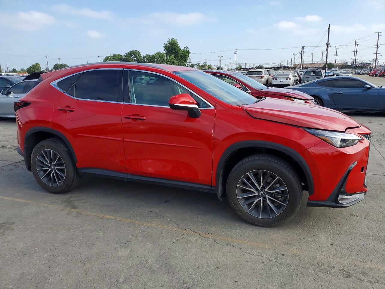 2022 Lexus Nx 250 Red vin: 2T2ADCEZ5NC001428