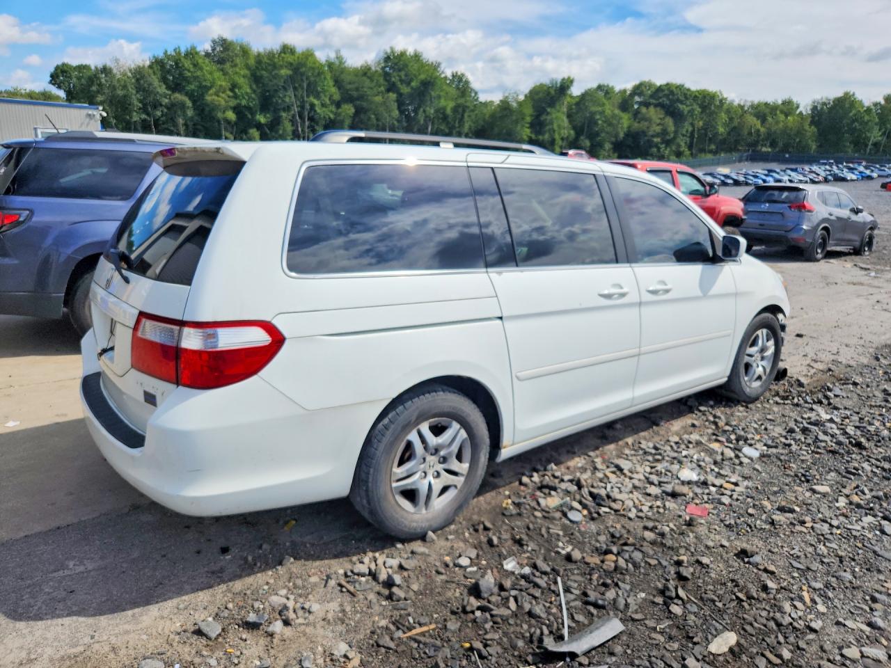 2006 Honda Odyssey Exl White vin: 5FNRL38616B428534