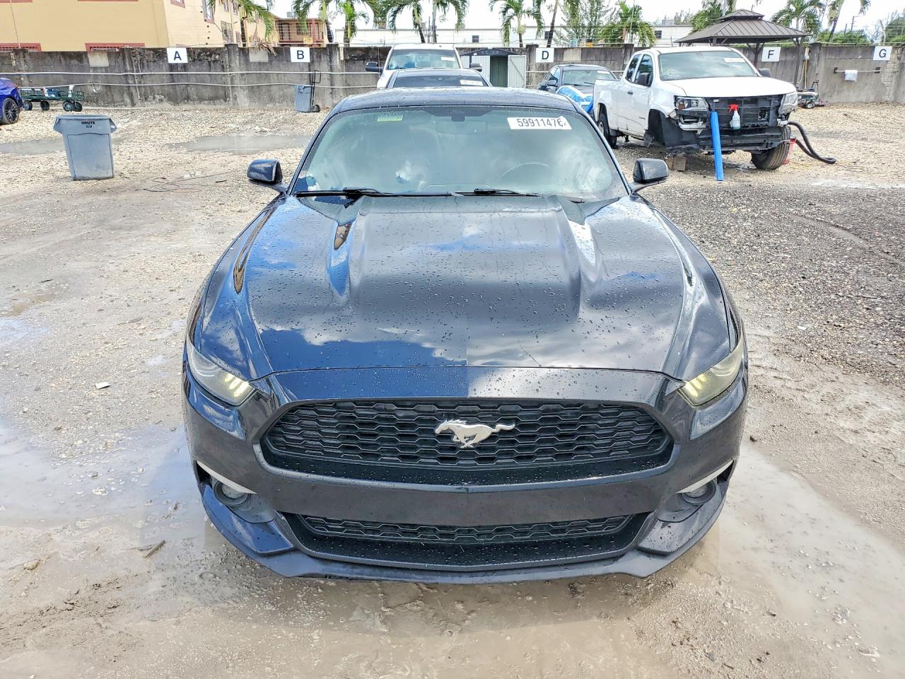 2015 Ford Mustang Черный vin: 1FA6P8THXF5357516