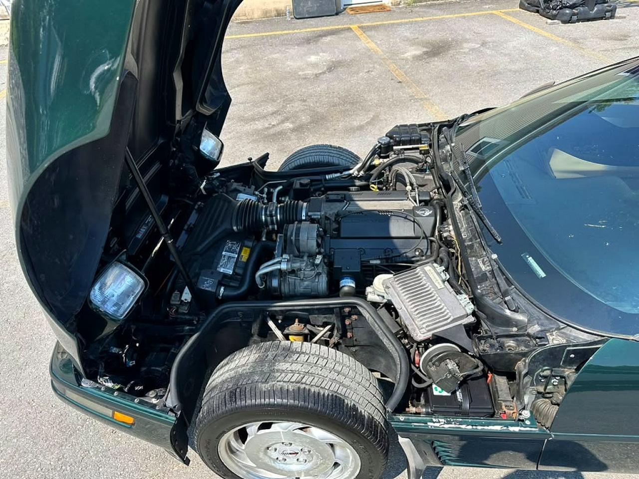 1995 Chevrolet Corvette Green vin: 1G1YY22P0S5114497