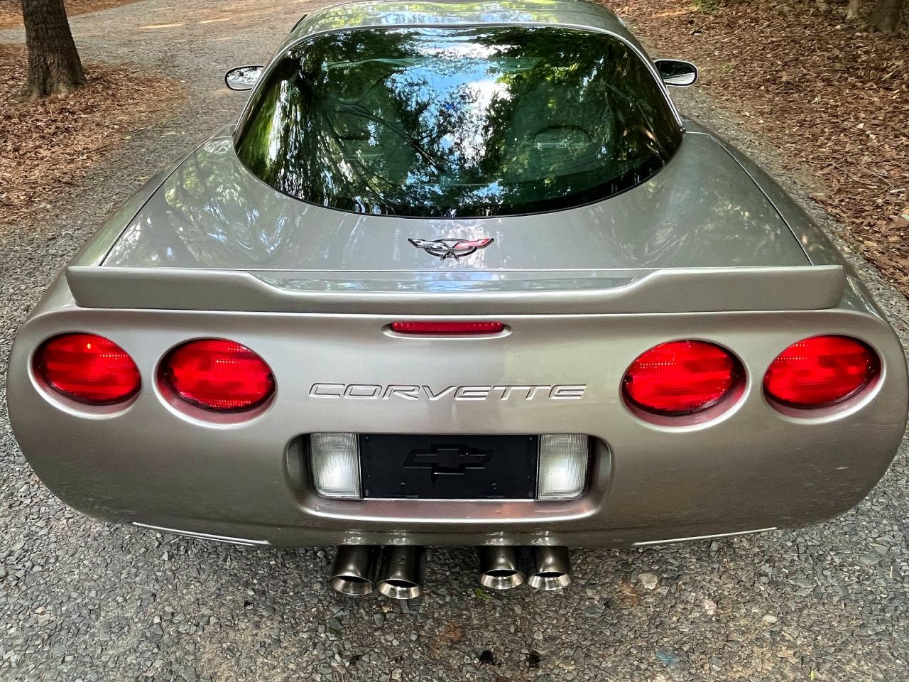 1998 Chev Corvette Silver vin: 1G1YY22G4W5128490