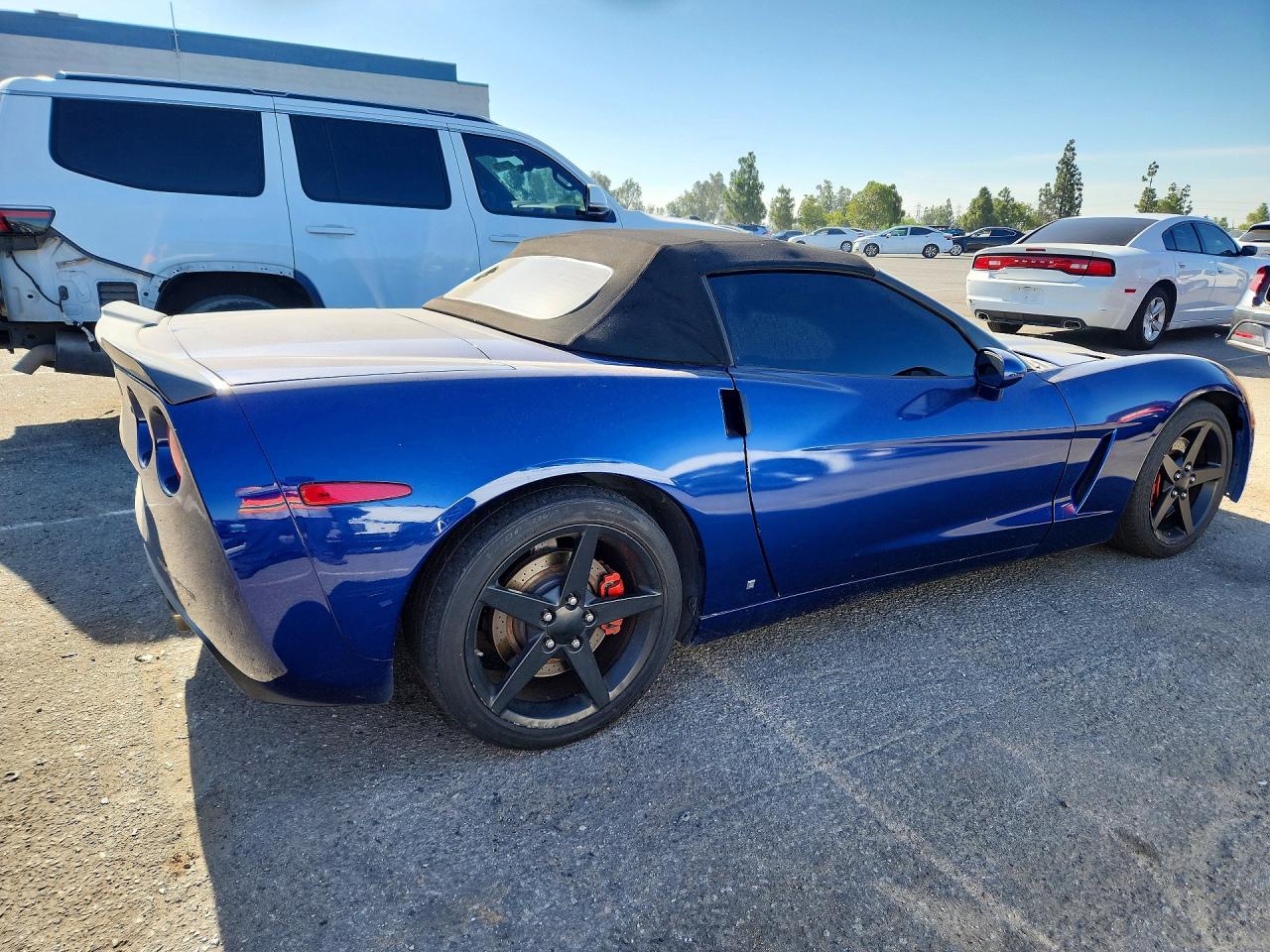 2006 Chevrolet Corvette Blue vin: 1G1YY36U665119022