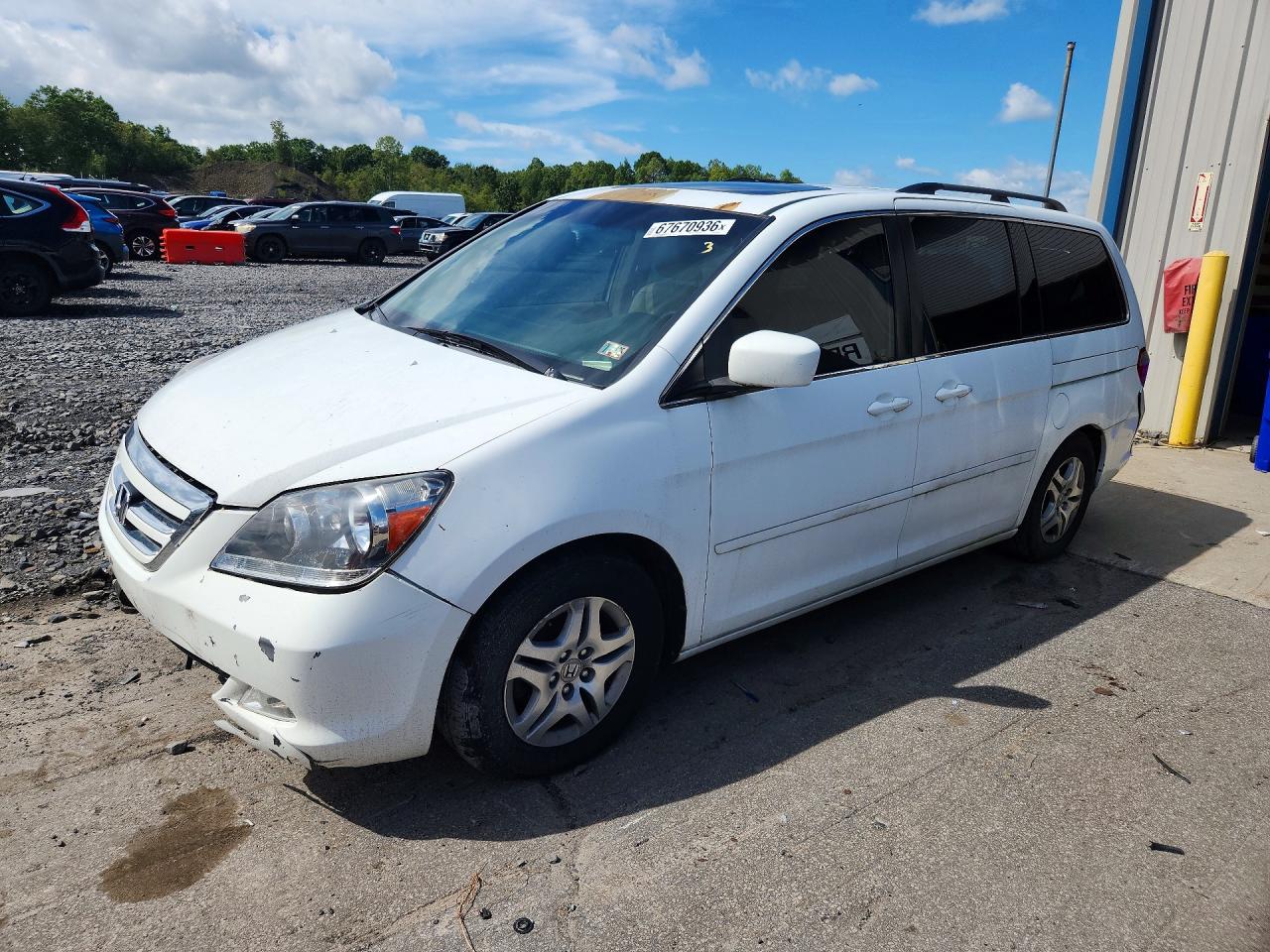 2006 Honda Odyssey Exl White vin: 5FNRL38616B428534