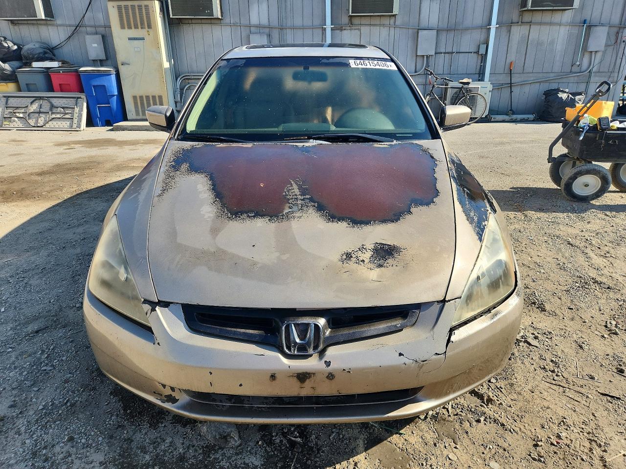 2005 Honda Accord Ex Tan vin: JHMCM56895C006850
