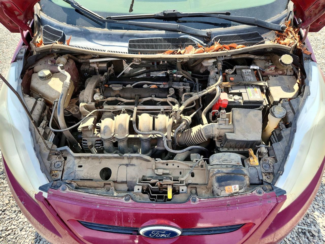 2011 Ford Fiesta Se Purple vin: 3FADP4EJ6BM207570