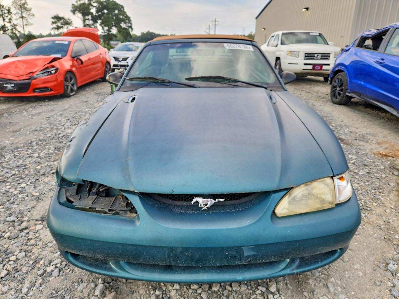 1996 Ford Mustang Green vin: 1FALP4447TF163409