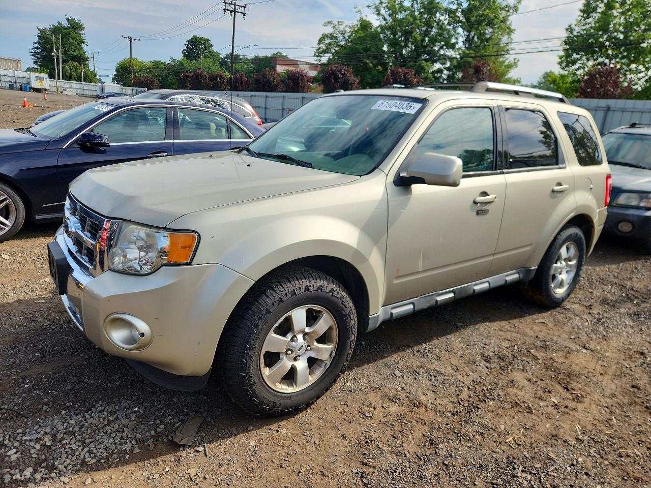2010 Ford Escape Limited Tan vin: 1FMCU9EG1AKA09190