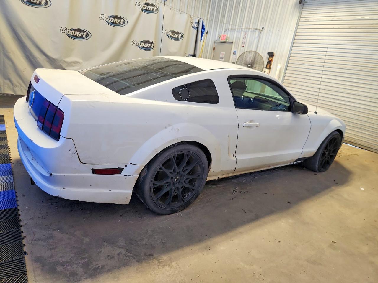 2005 Ford Mustang White vin: 1ZVFT80N155152369